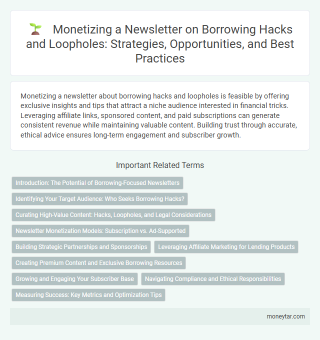 Monetizing a Newsletter on Borrowing Hacks and Loopholes: Strategies, Opportunities, and Best Practices