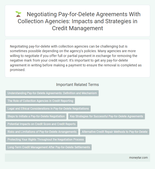 Negotiating Pay-for-Delete Agreements With Collection Agencies: Impacts and Strategies in Credit Management