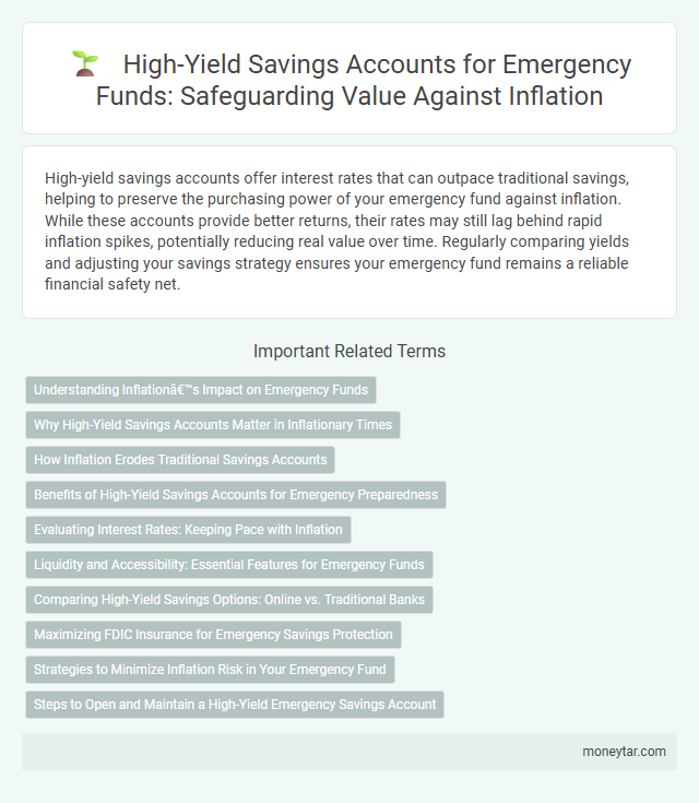 High-Yield Savings Accounts for Emergency Funds: Safeguarding Value Against Inflation