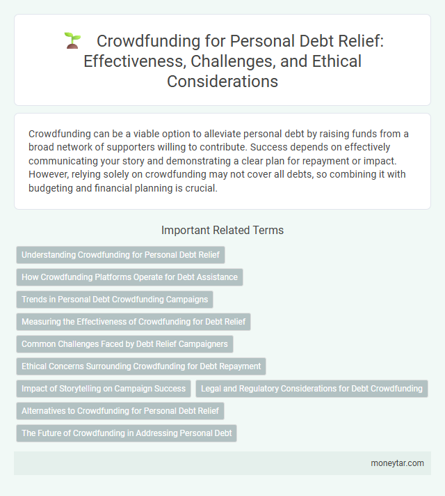 Crowdfunding for Personal Debt Relief: Effectiveness, Challenges, and Ethical Considerations