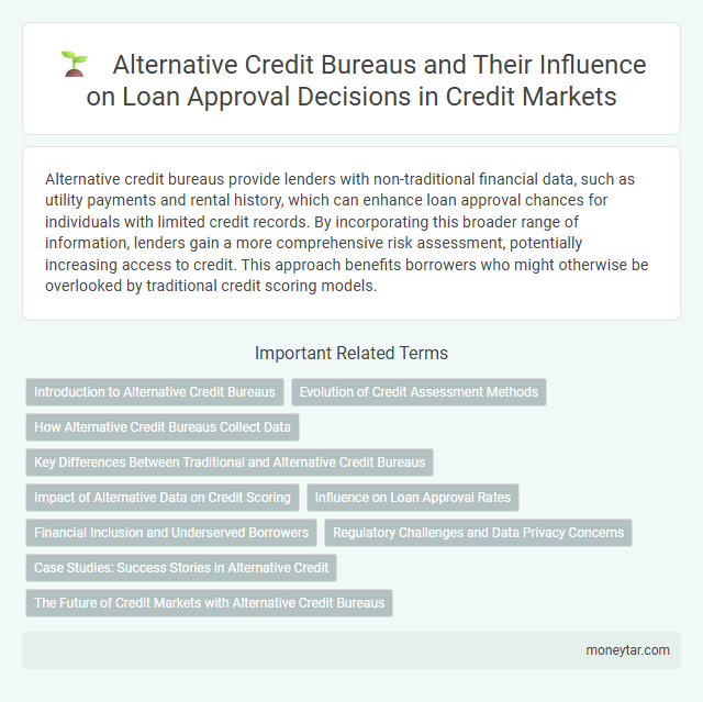 Alternative Credit Bureaus and Their Influence on Loan Approval Decisions in Credit Markets