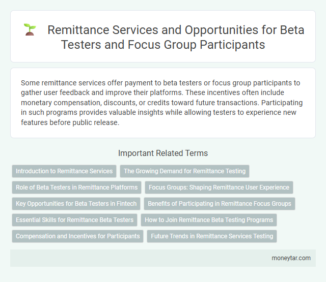 Remittance Services and Opportunities for Beta Testers and Focus Group Participants