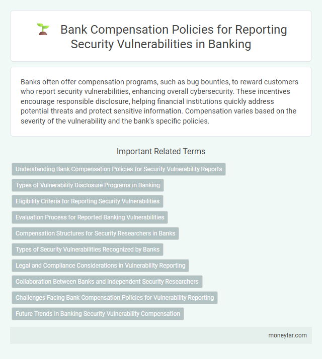 Bank Compensation Policies for Reporting Security Vulnerabilities in Banking