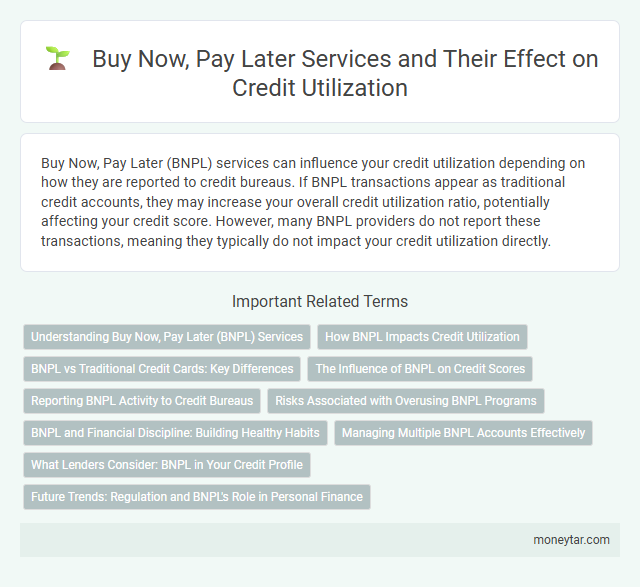 Buy Now, Pay Later Services and Their Effect on Credit Utilization