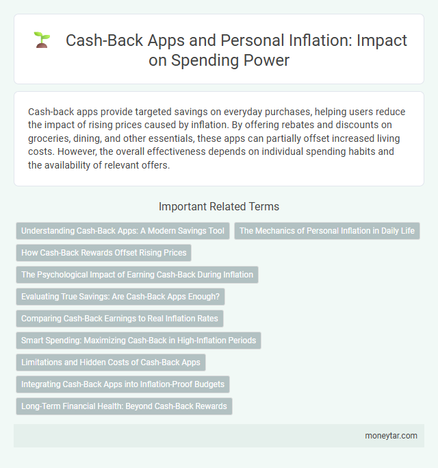 Cash-Back Apps and Personal Inflation: Impact on Spending Power