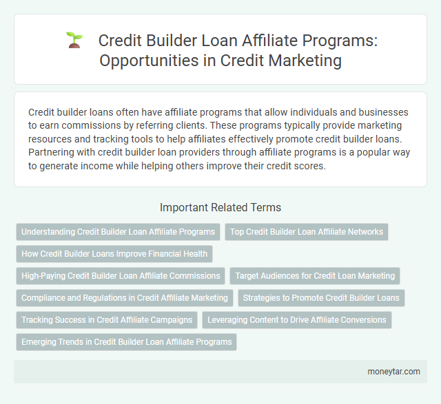 Credit Builder Loan Affiliate Programs: Opportunities in Credit Marketing