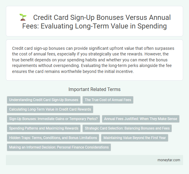 Credit Card Sign-Up Bonuses Versus Annual Fees: Evaluating Long-Term Value in Spending
