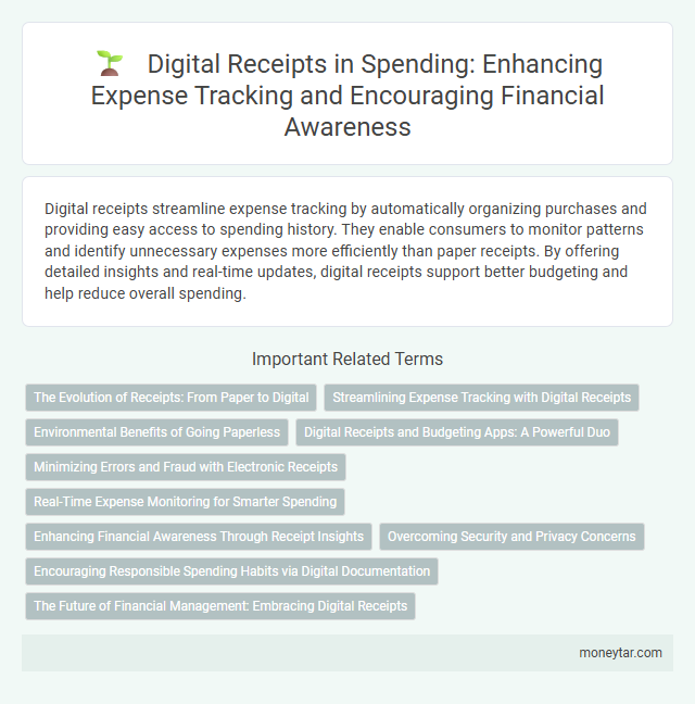 Digital Receipts in Spending: Enhancing Expense Tracking and Encouraging Financial Awareness