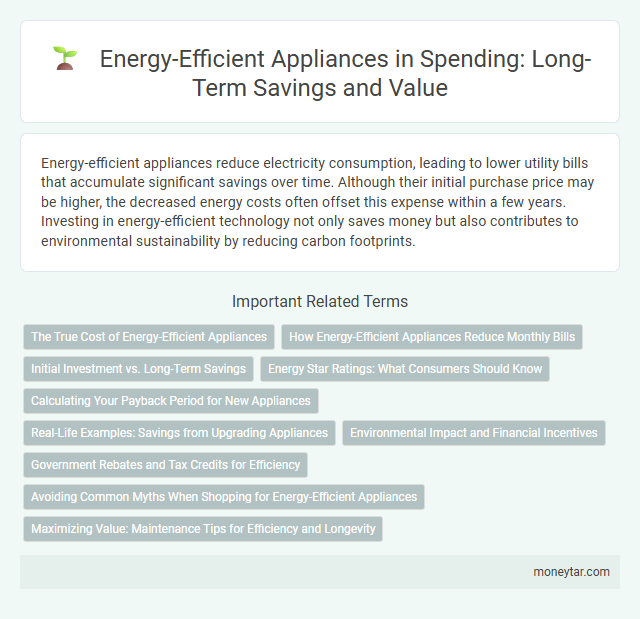 Energy-Efficient Appliances in Spending: Long-Term Savings and Value