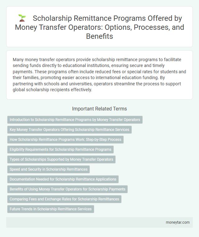 Scholarship Remittance Programs Offered by Money Transfer Operators: Options, Processes, and Benefits