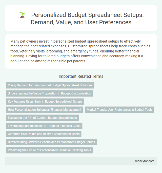 Personalized Budget Spreadsheet Setups: Demand, Value, and User Preferences
