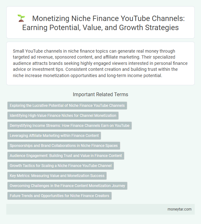 Monetizing Niche Finance YouTube Channels: Earning Potential, Value, and Growth Strategies