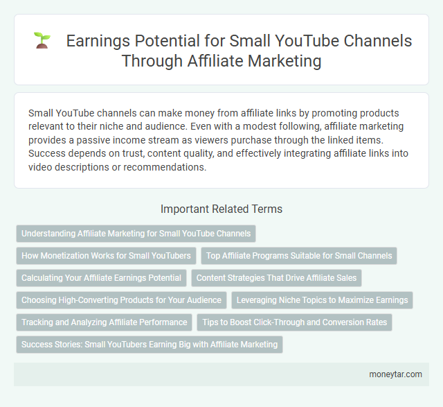 Earnings Potential for Small YouTube Channels Through Affiliate Marketing