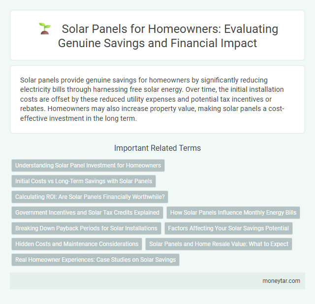 Solar Panels for Homeowners: Evaluating Genuine Savings and Financial Impact