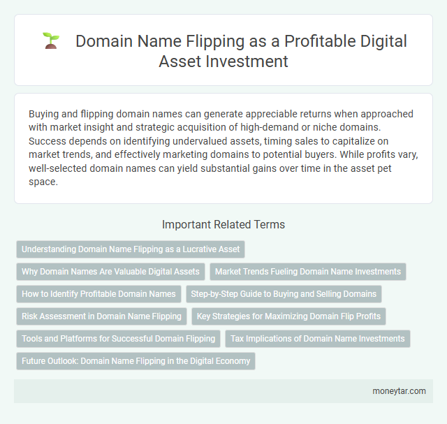 Domain Name Flipping as a Profitable Digital Asset Investment