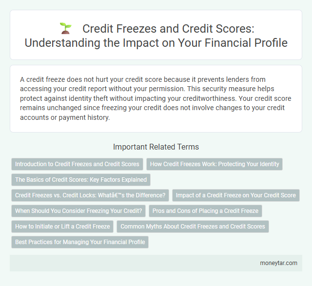 Credit Freezes and Credit Scores: Understanding the Impact on Your Financial Profile