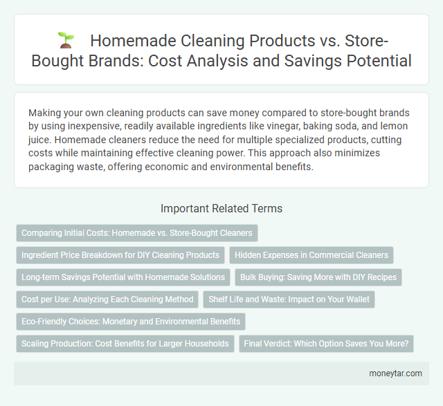 Homemade Cleaning Products vs. Store-Bought Brands: Cost Analysis and Savings Potential