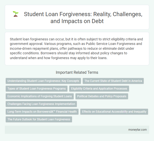 Student Loan Forgiveness: Reality, Challenges, and Impacts on Debt