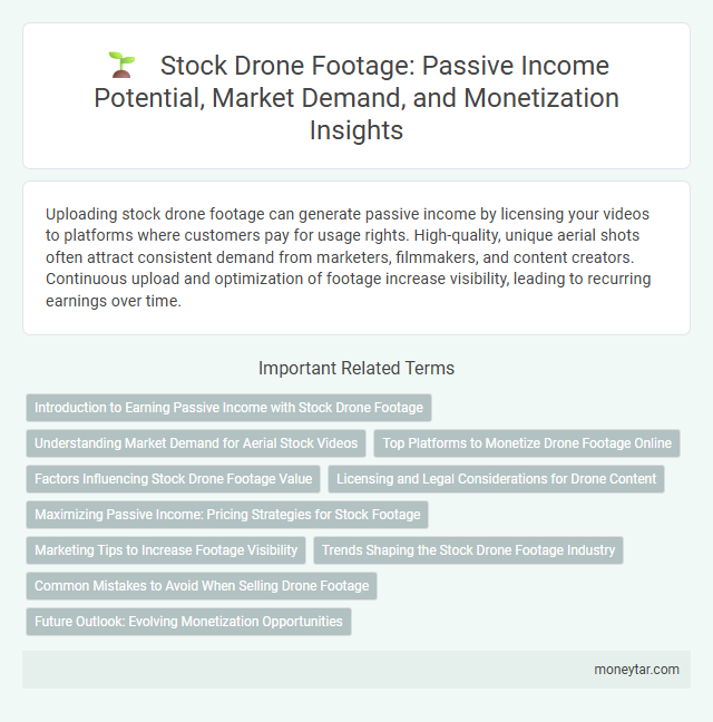 Stock Drone Footage: Passive Income Potential, Market Demand, and Monetization Insights
