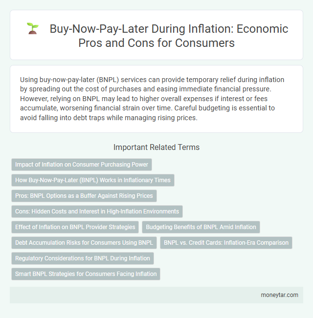 Buy-Now-Pay-Later During Inflation: Economic Pros and Cons for Consumers