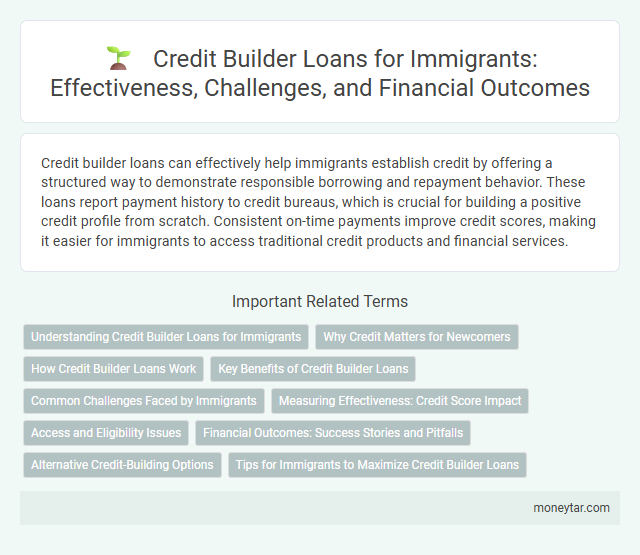 Credit Builder Loans for Immigrants: Effectiveness, Challenges, and Financial Outcomes