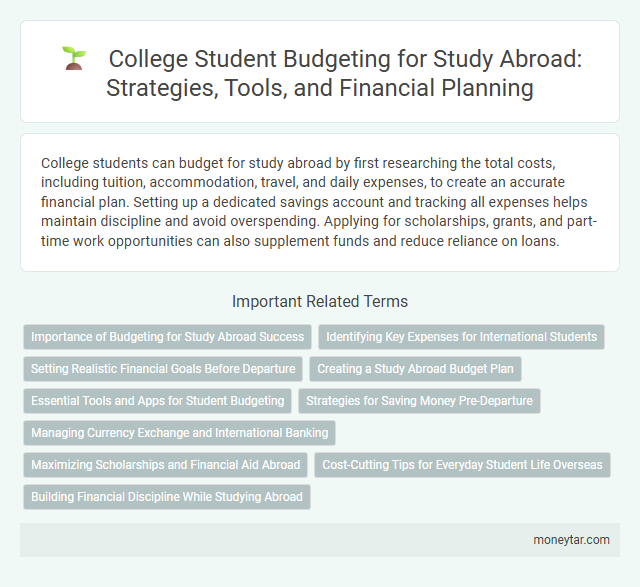 College Student Budgeting for Study Abroad: Strategies, Tools, and Financial Planning