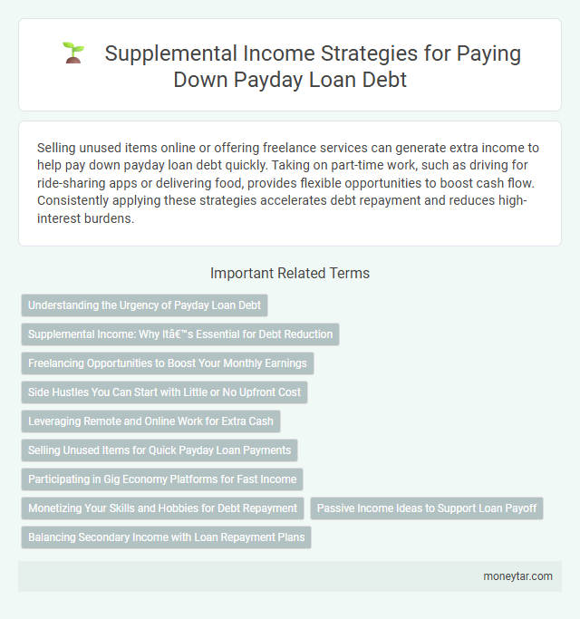 Supplemental Income Strategies for Paying Down Payday Loan Debt
