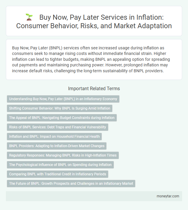 Buy Now, Pay Later Services in Inflation: Consumer Behavior, Risks, and Market Adaptation