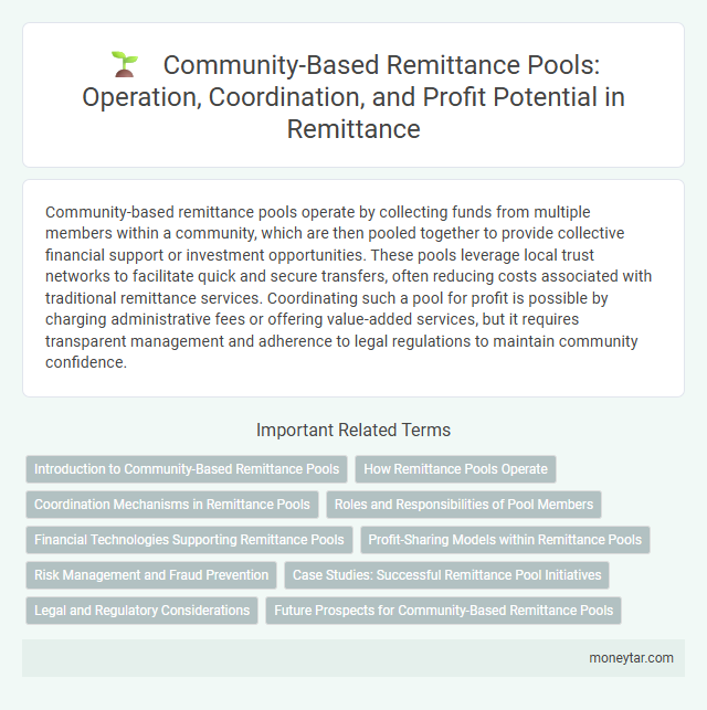 Community-Based Remittance Pools: Operation, Coordination, and Profit Potential in Remittance