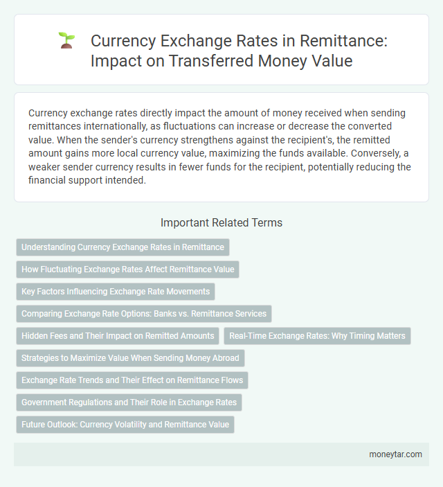 Currency Exchange Rates in Remittance: Impact on Transferred Money Value