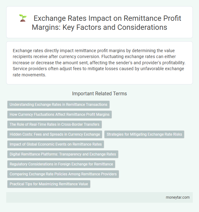 Exchange Rates Impact on Remittance Profit Margins: Key Factors and Considerations
