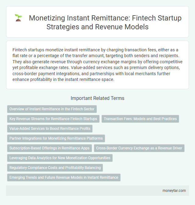 Monetizing Instant Remittance: Fintech Startup Strategies and Revenue Models