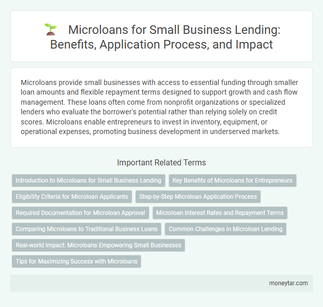 Microloans for Small Business Lending: Benefits, Application Process, and Impact
