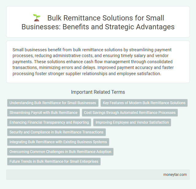 Bulk Remittance Solutions for Small Businesses: Benefits and Strategic Advantages