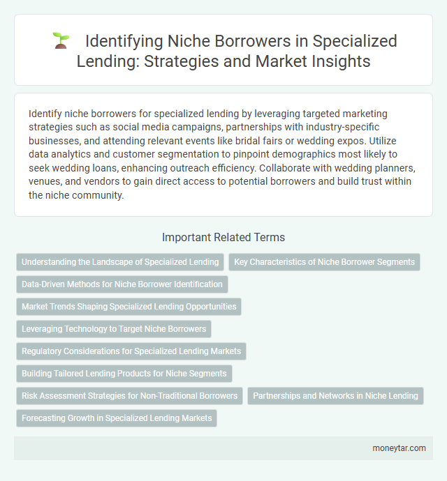 Identifying Niche Borrowers in Specialized Lending: Strategies and Market Insights