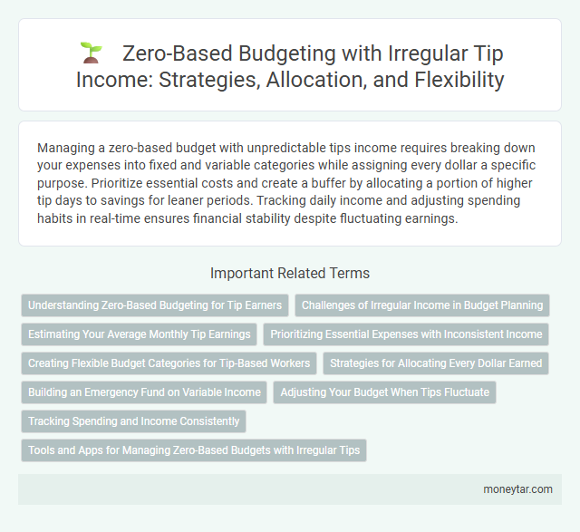 Zero-Based Budgeting with Irregular Tip Income: Strategies, Allocation, and Flexibility