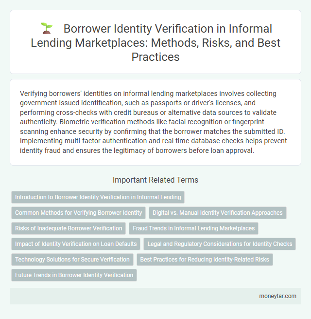 Borrower Identity Verification in Informal Lending Marketplaces: Methods, Risks, and Best Practices