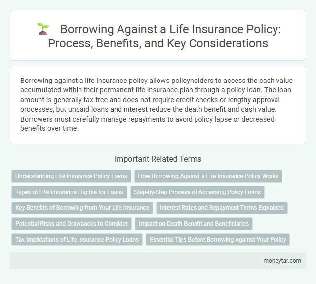 Borrowing Against a Life Insurance Policy: Process, Benefits, and Key Considerations