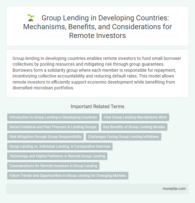 Group Lending in Developing Countries: Mechanisms, Benefits, and Considerations for Remote Investors