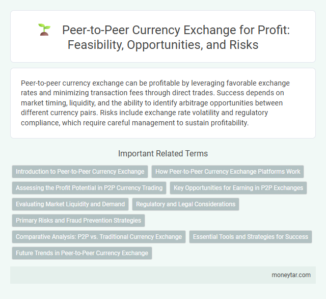 Peer-to-Peer Currency Exchange for Profit: Feasibility, Opportunities, and Risks