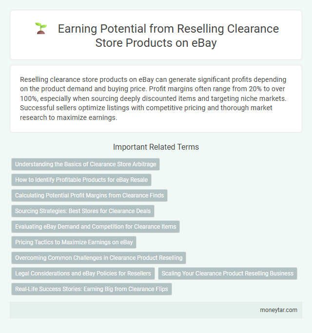 Earning Potential from Reselling Clearance Store Products on eBay