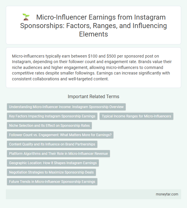 Micro-Influencer Earnings from Instagram Sponsorships: Factors, Ranges, and Influencing Elements