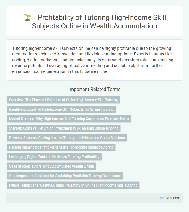 Profitability of Tutoring High-Income Skill Subjects Online in Wealth Accumulation