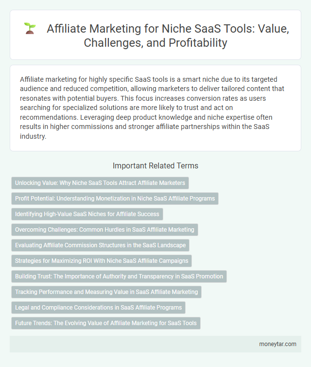 Affiliate Marketing for Niche SaaS Tools: Value, Challenges, and Profitability