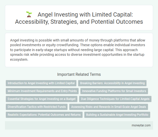 Angel Investing with Limited Capital: Accessibility, Strategies, and Potential Outcomes
