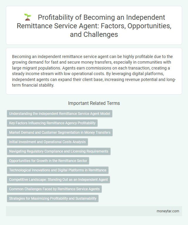Profitability of Becoming an Independent Remittance Service Agent: Factors, Opportunities, and Challenges