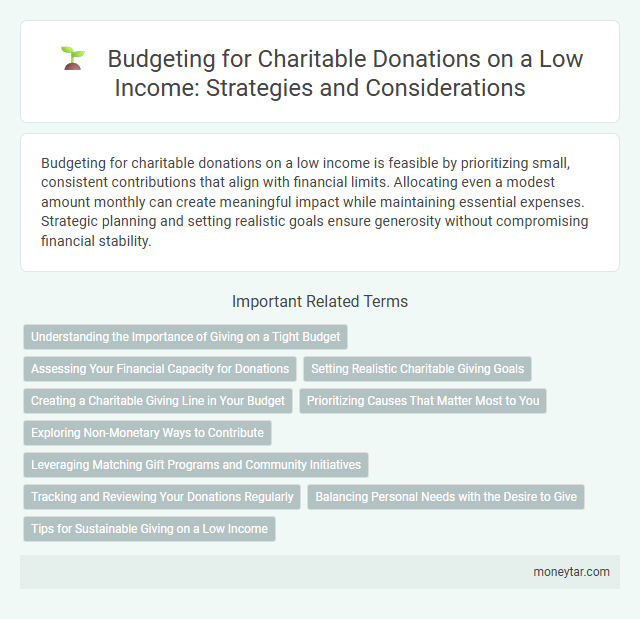 Budgeting for Charitable Donations on a Low Income: Strategies and Considerations