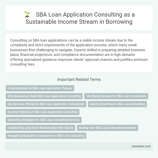 SBA Loan Application Consulting as a Sustainable Income Stream in Borrowing