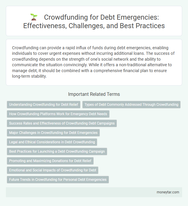 Crowdfunding for Debt Emergencies: Effectiveness, Challenges, and Best Practices