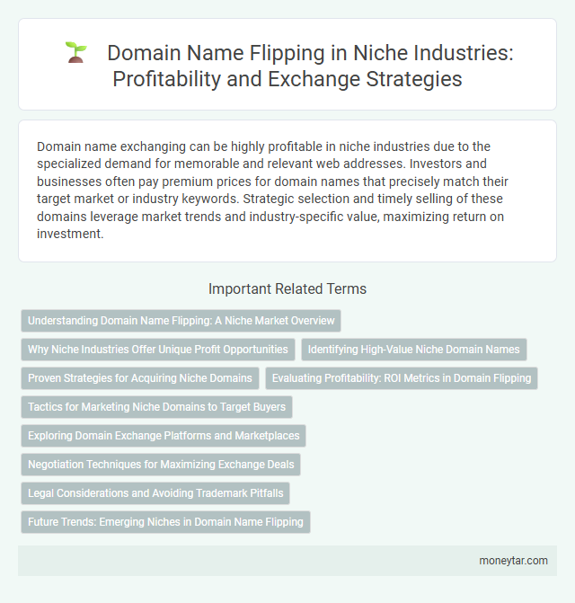 Domain Name Flipping in Niche Industries: Profitability and Exchange Strategies